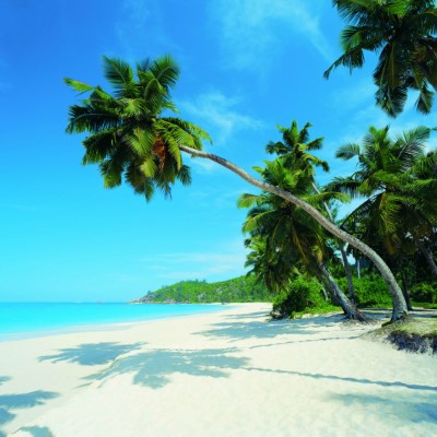 1920 x 1080 HD Wallpapers 2842